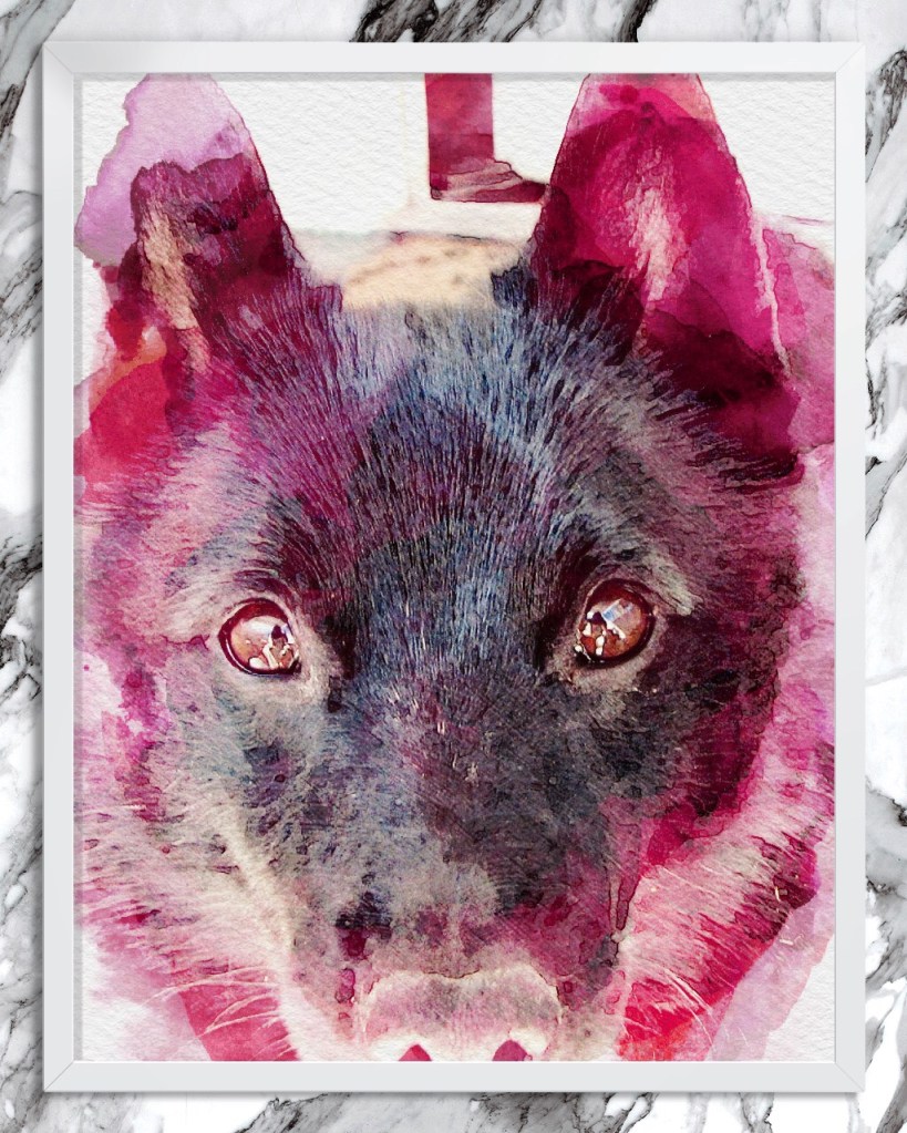 Head of wolf-like black dog, outlined with red-tinted watercolor effect