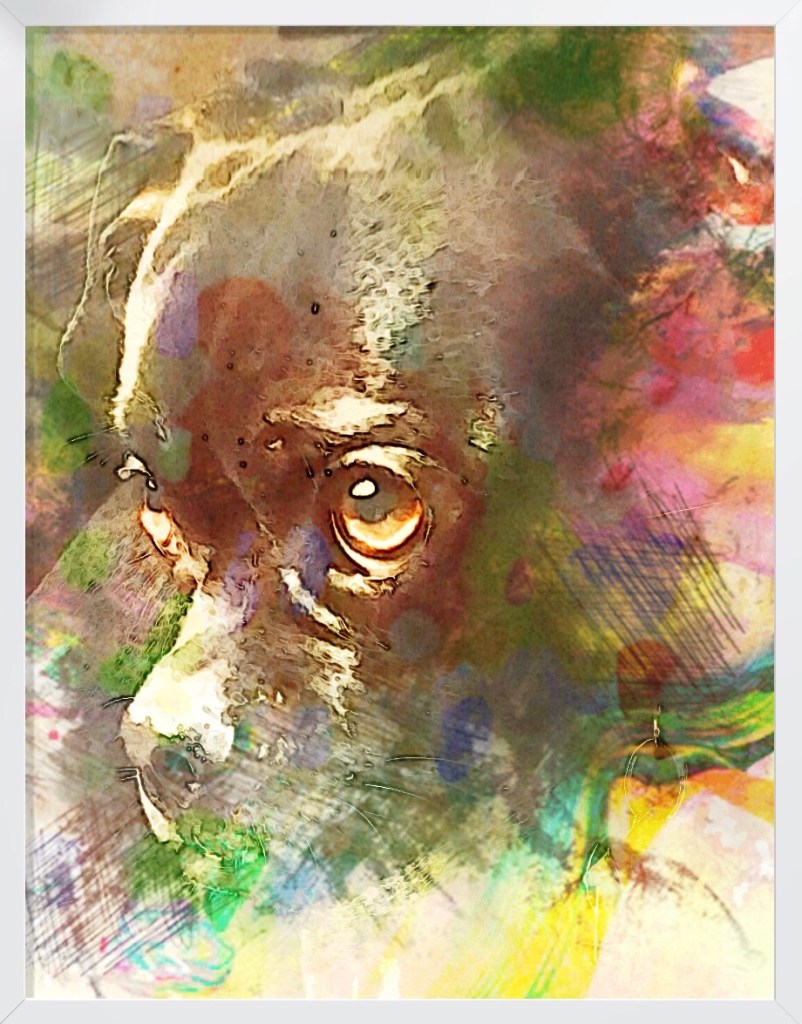 Profile of dog’s face with kind but sad expression, with watercolor effects