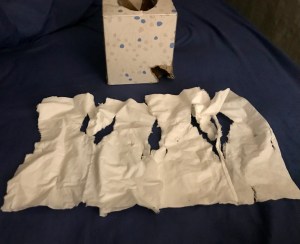 Facial tissues with holes in them lined up, vaguely resembling paper dolls. Tissue box with hole in it in background. 