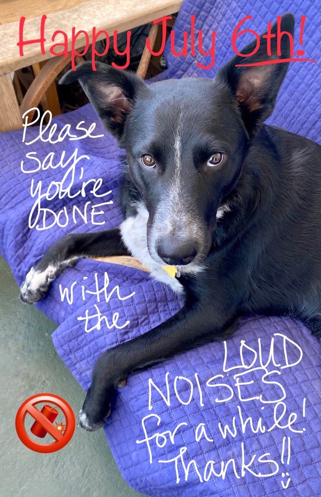 Dog with pleading look. Text reads, “Happy July 6th! Please say you’re DONE with the LOUD NOISES for a while! Thanks!!”