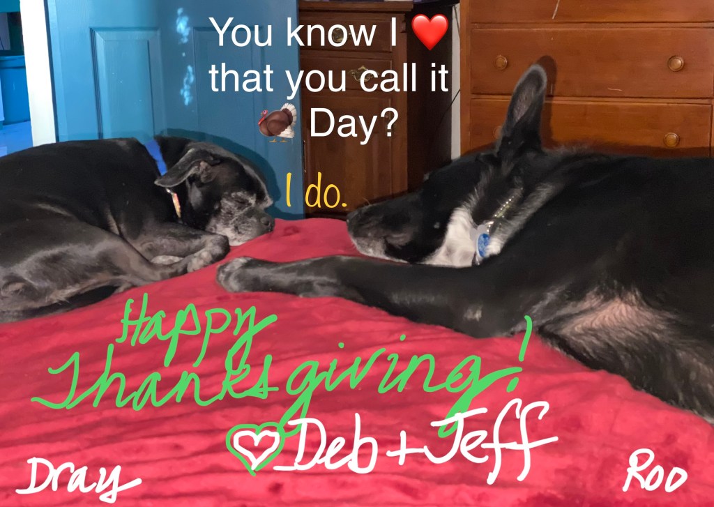 2 dogs, sleep closely, face to face. Text above them in white reads, “You know I ❤️ that you call it 🦃 Day?” Text below in yellow reads, “I do.” Followed by “Happy Thanksgiving! 💚Deb & Jeff Dray Roo”