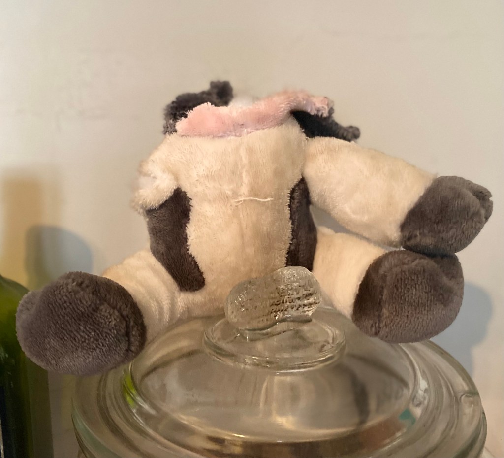 Black and white toy cow “sitting up” and missing one forelimb and head.  